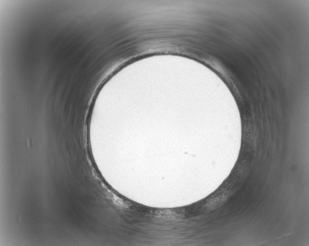 X0000060770807200512011610