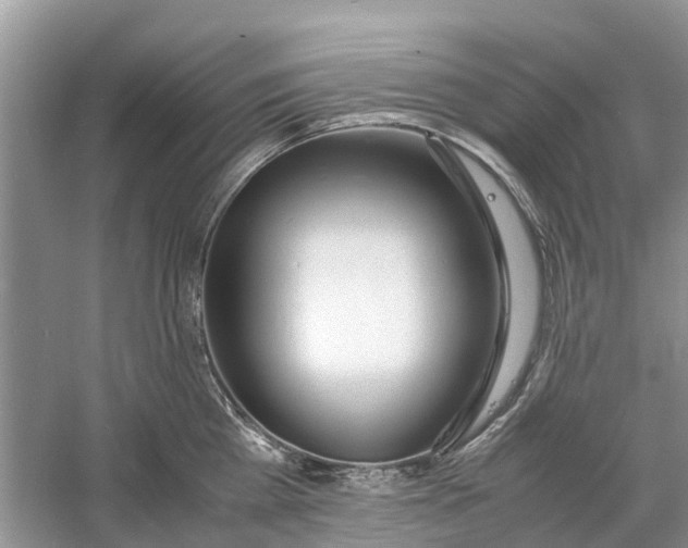 X0000060770809200512011610