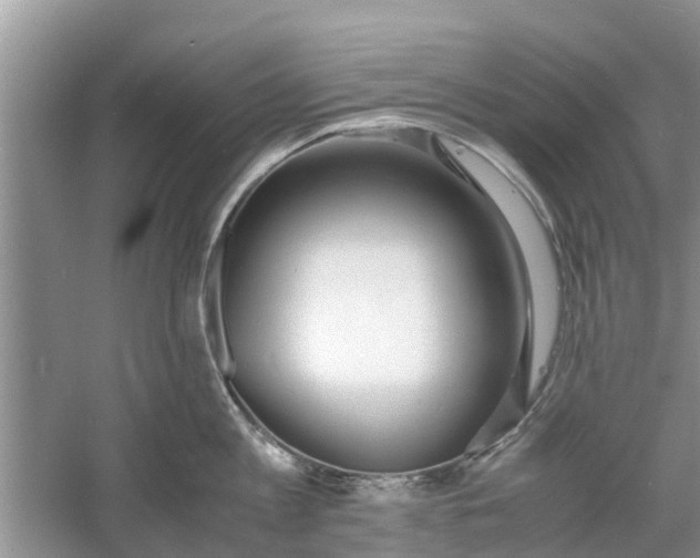 X0000060770813200512011610