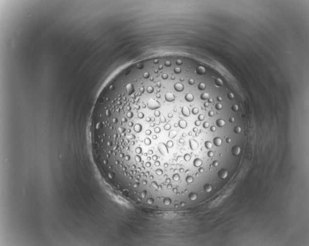 X0000060770814200512011610