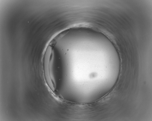 X0000060770816200512011610