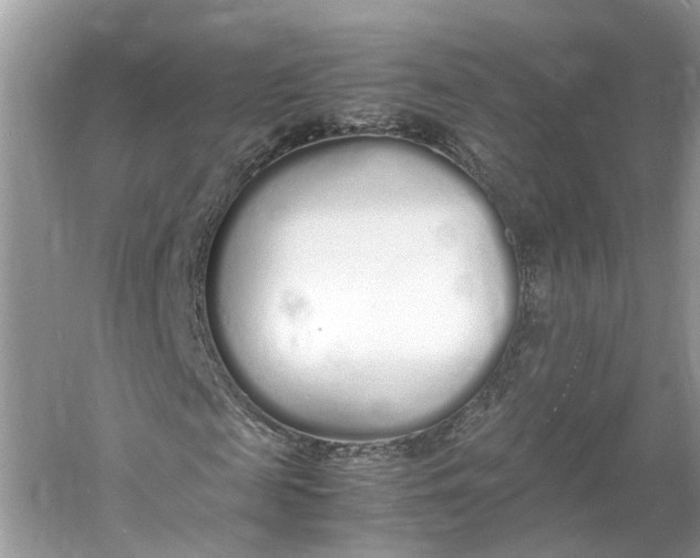 X0000060770817200512011609