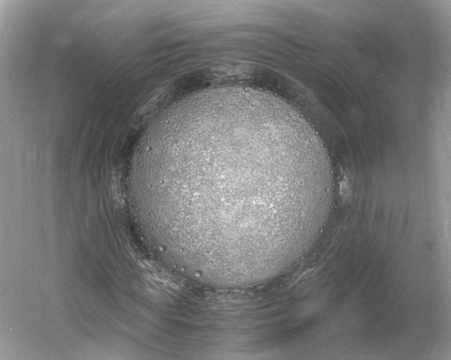 X0000060770819200512011609