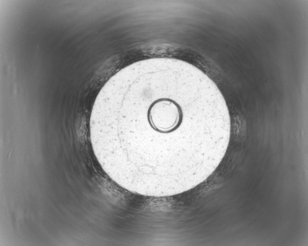 X0000060770820200512011609