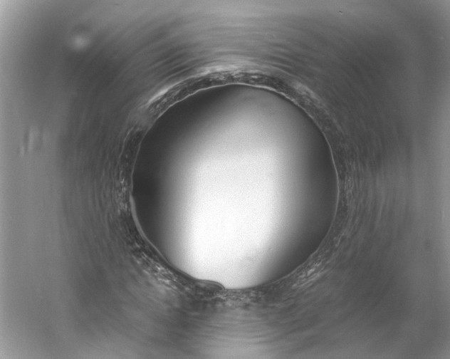 X0000060770822200512011609