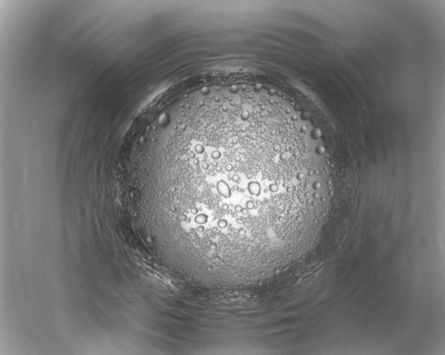 X0000060770823200512011609