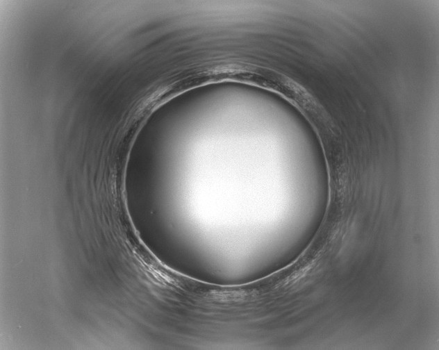 X0000060770825200512011609