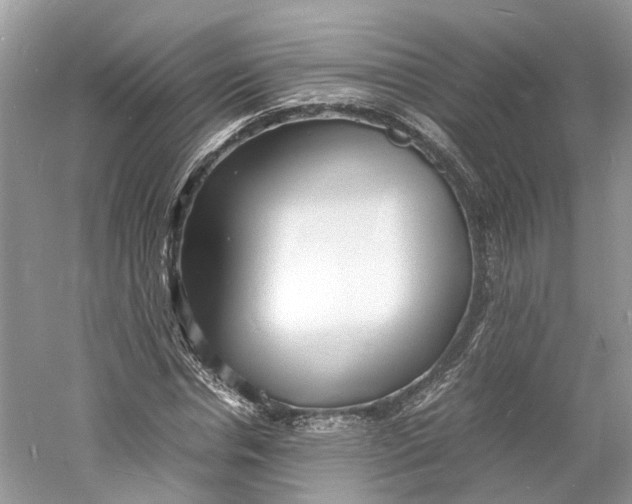 X0000060770826200512011609