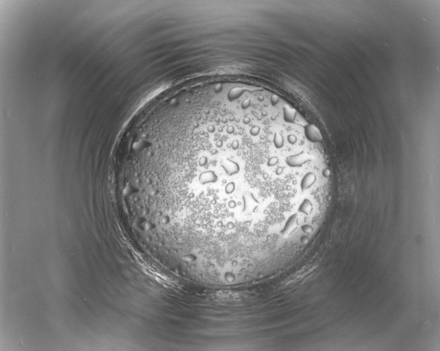 X0000060770827200512011609