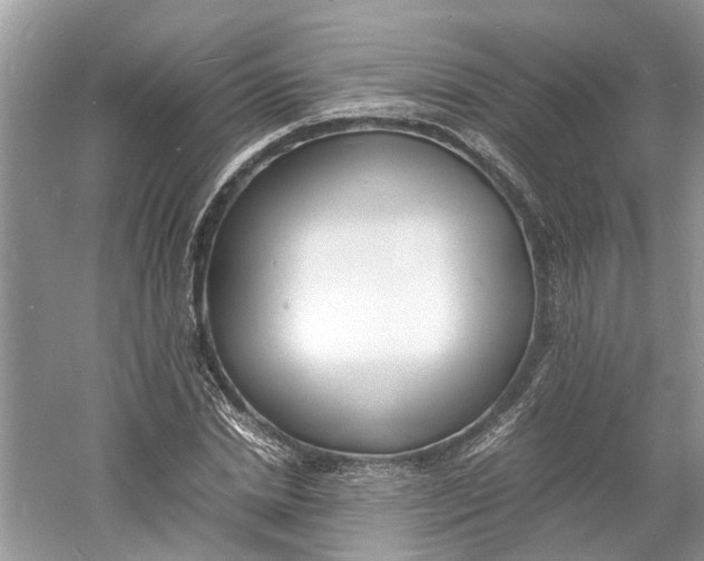 X0000060770830200512011609