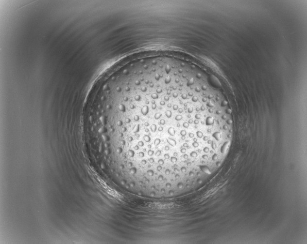 X0000060770831200512011609