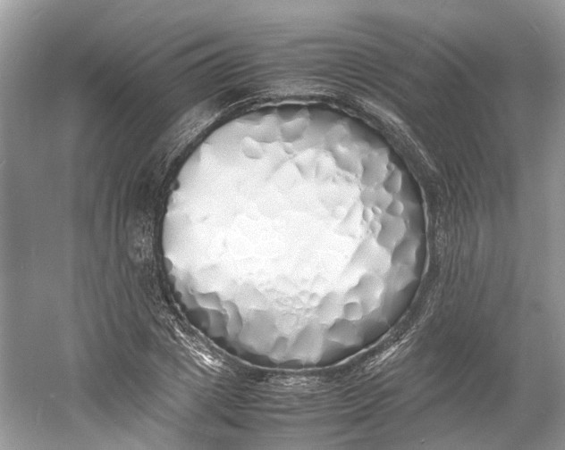 X0000060770833200512011609