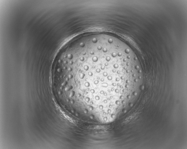 X0000060770839200512011609