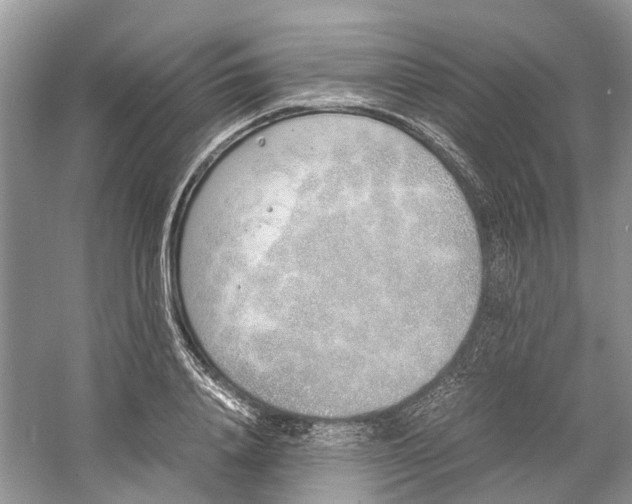 X0000060770840200512011609