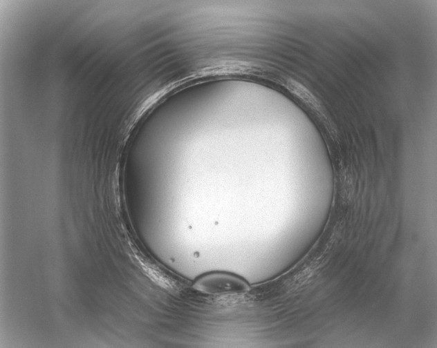 X0000060770842200512011609