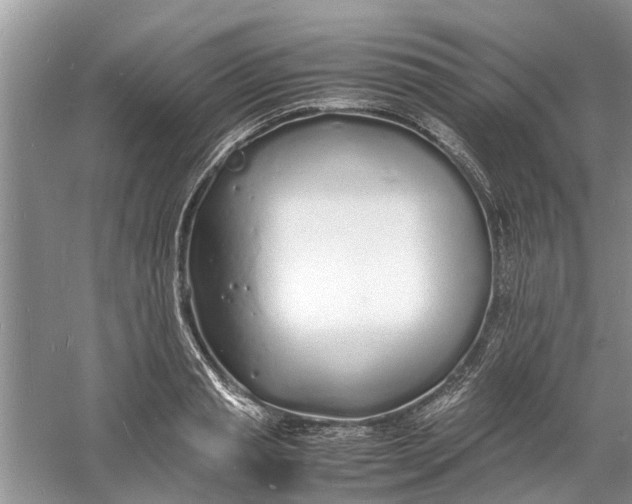 X0000060770845200512011610