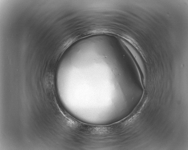 X0000060770849200512011610