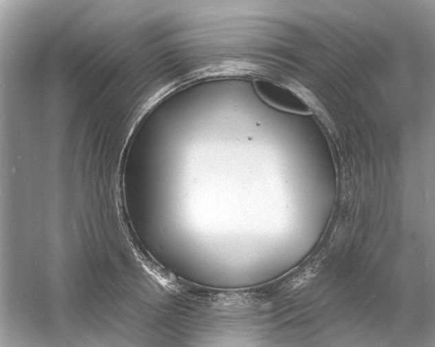 X0000060770850200512011610