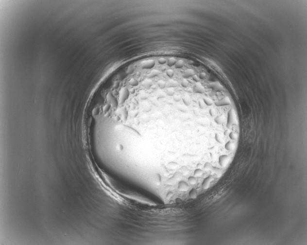 X0000060770851200512011610