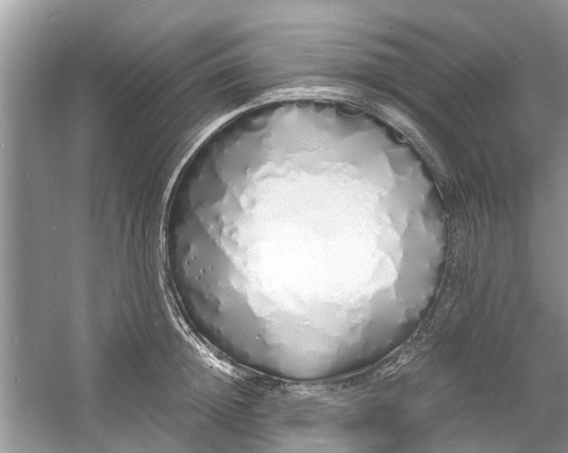 X0000060770852200512011610