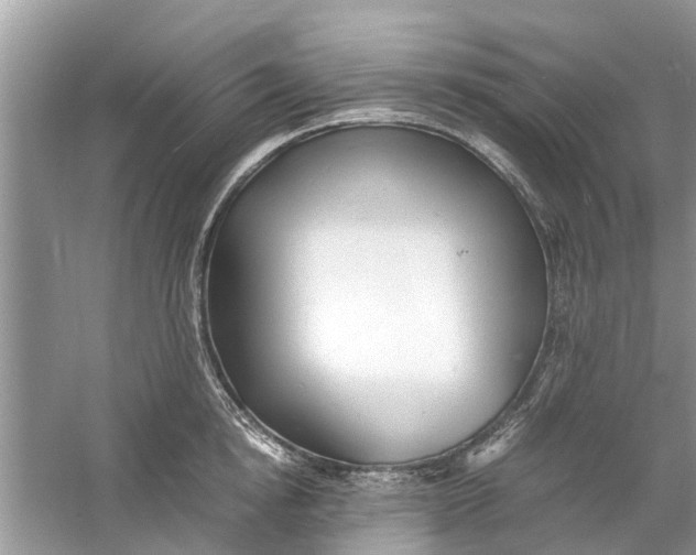 X0000060770854200512011610