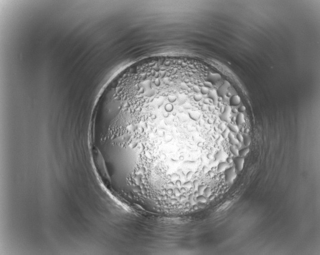 X0000060770855200512011610