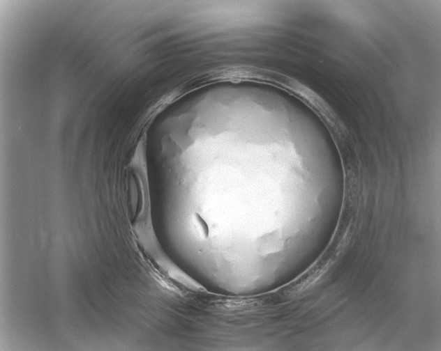 X0000060770857200512011610