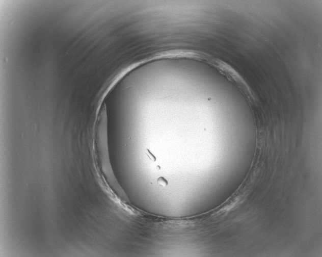 X0000060770860200512011610