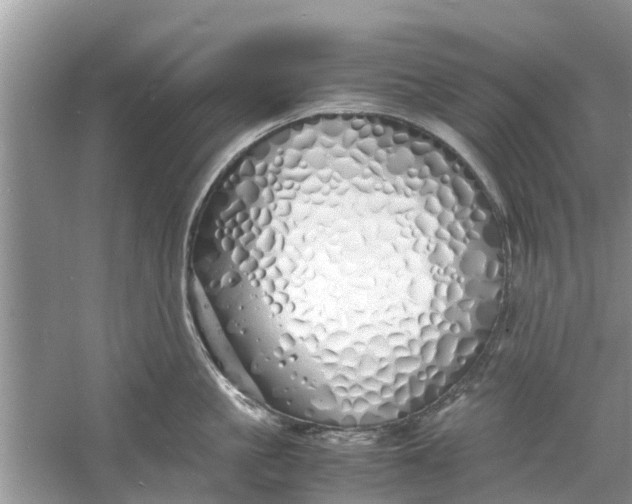 X0000060770861200512011610