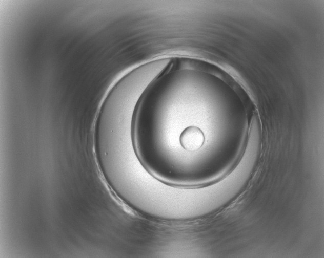 X0000060770862200512011610