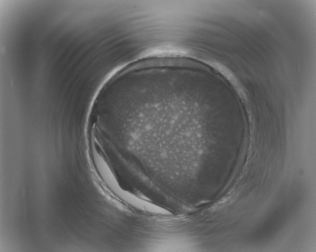 X0000060770864200512011610