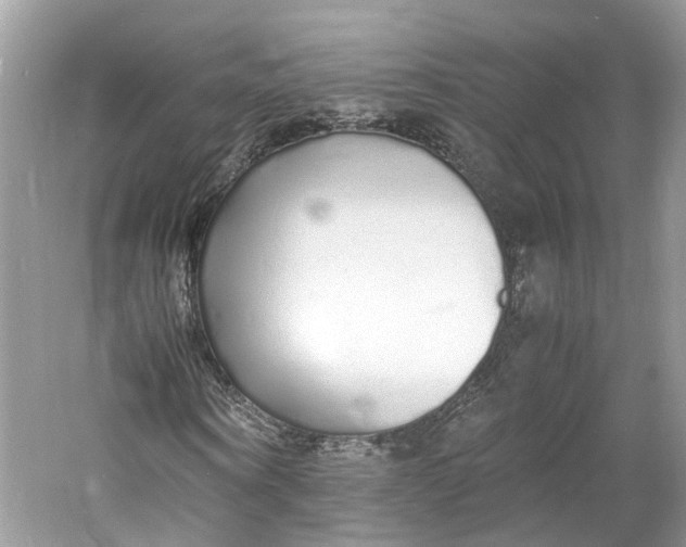 X0000060770866200512011609