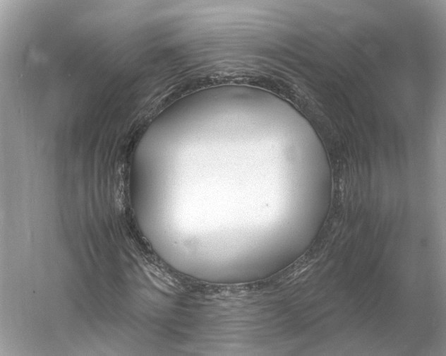 X0000060770868200512011609