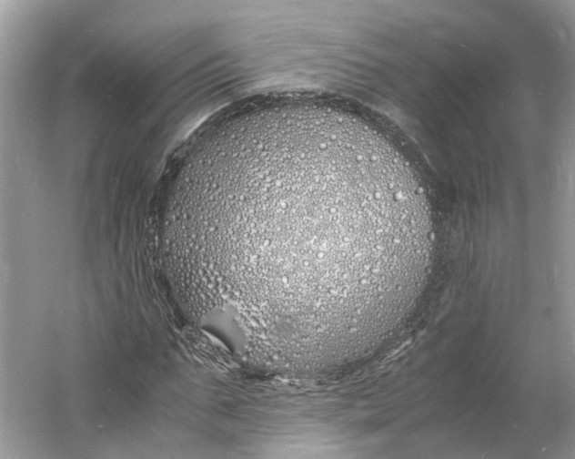 X0000060770871200512011609