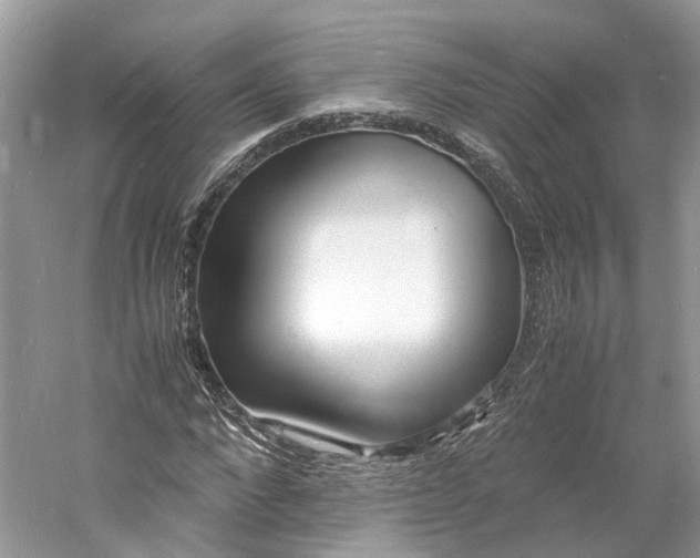 X0000060770872200512011609