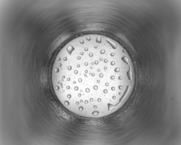 X0000060770874200512011609