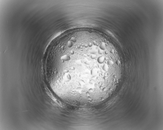 X0000060770875200512011609