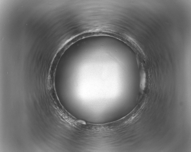 X0000060770876200512011609