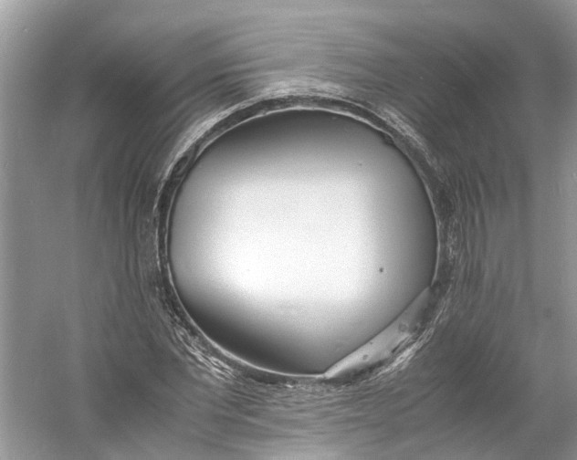 X0000060770877200512011609