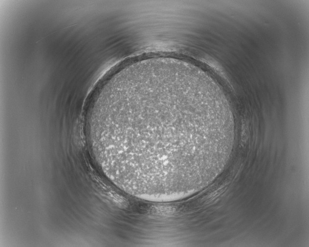 X0000060770878200512011609