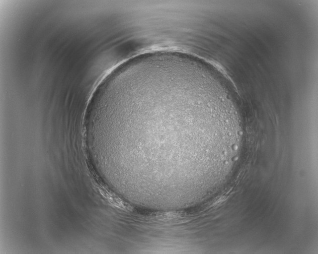 X0000060770879200512011609