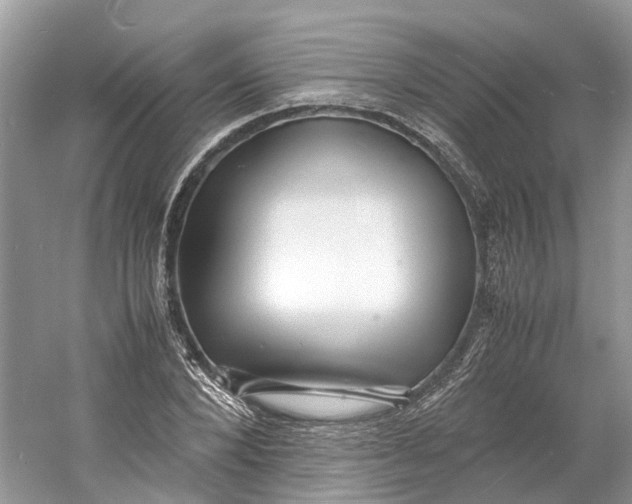 X0000060770880200512011609