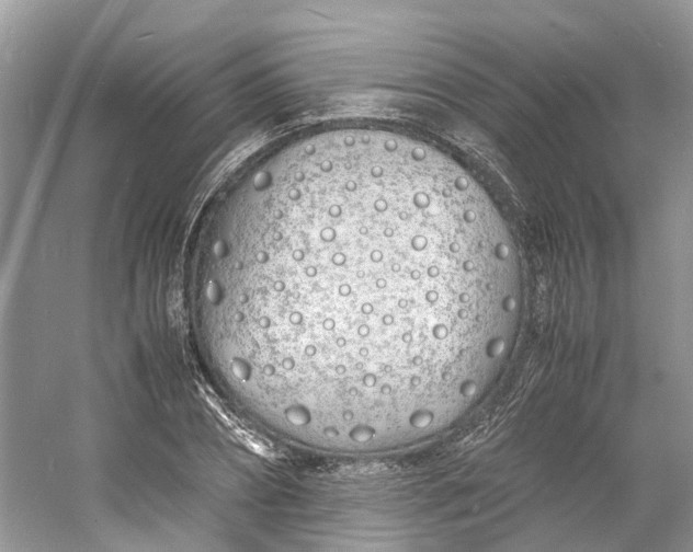 X0000060770882200512011609