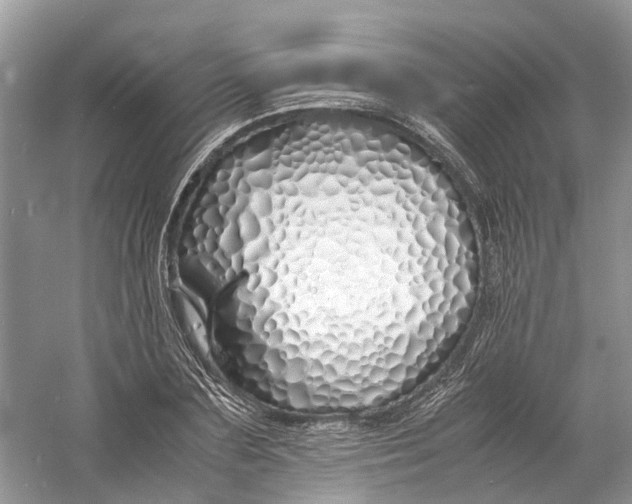 X0000060770883200512011609