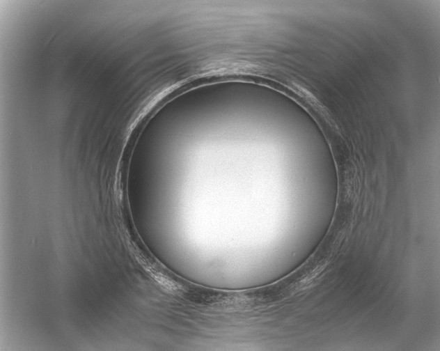 X0000060770885200512011609