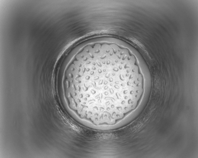 X0000060770886200512011609