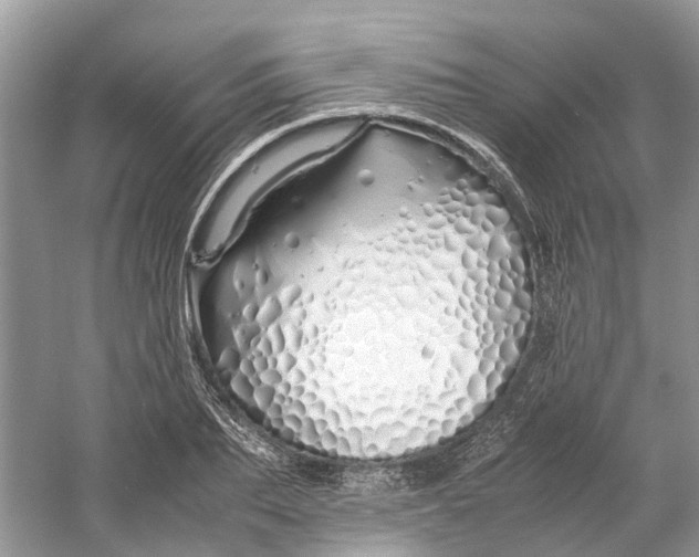 X0000060770887200512011609