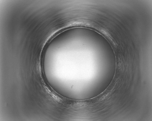 X0000060770888200512011609