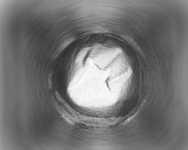 X0000060770889200512011609