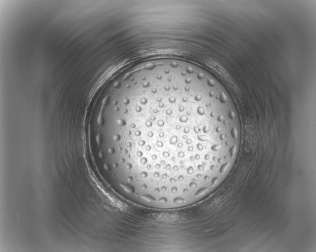 X0000060770890200512011609